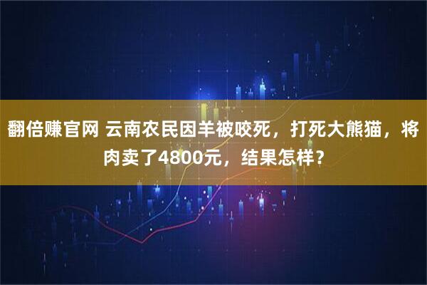翻倍赚官网 云南农民因羊被咬死，打死大熊猫，将肉卖了4800元，结果怎样？